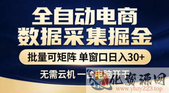 独家电商数据全自动采集项目，批量可矩阵，单窗口轻松日入3张+【揭秘】