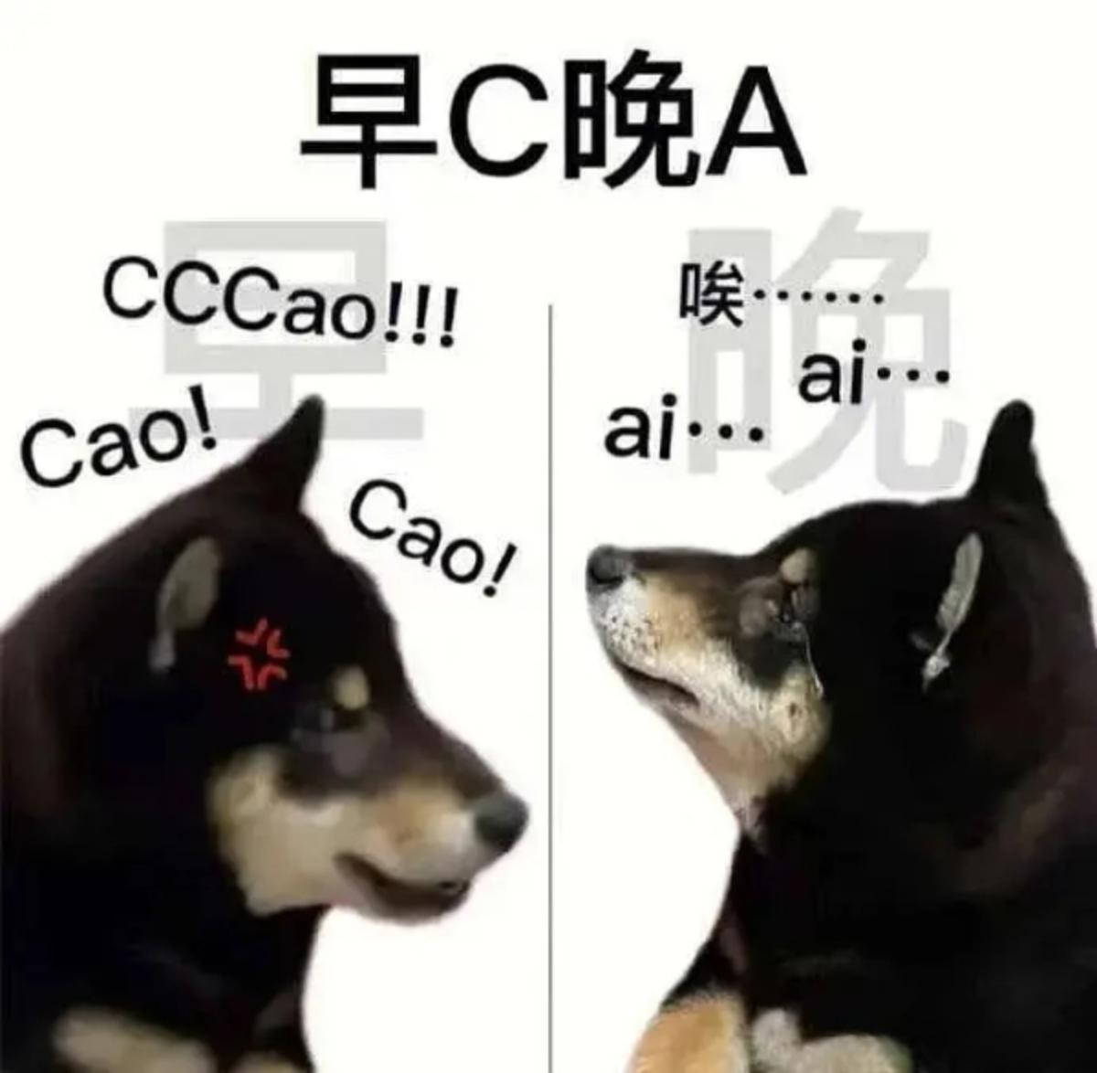 友友们,有没有发疯发癫的表情包? - 知乎