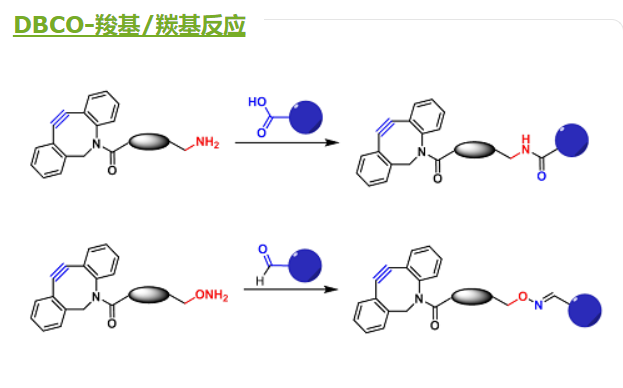Dbco Rearrangement Click反应学习总结01-无铜点击反应 - 知乎
