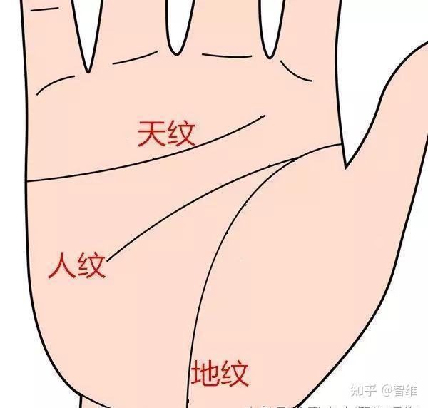 手相里的传统文化:阴阳、先天后天、三才、五行 - 知乎