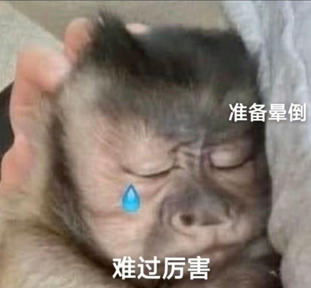 吗喽表情包第三波来咯! - 知乎