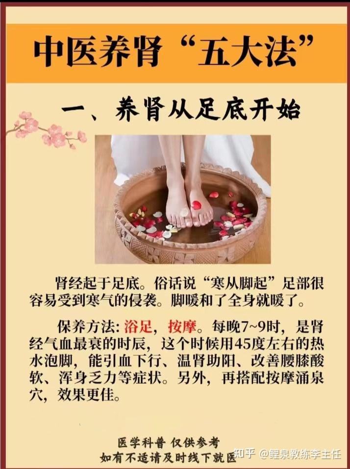 肾虚怎么办肾虚怎么补(肾虚怎么办肾虚怎么补男)