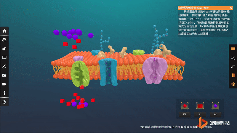 【VR+生物情境素材新视界】分子马达-ATP合酶(拓展) - 知乎