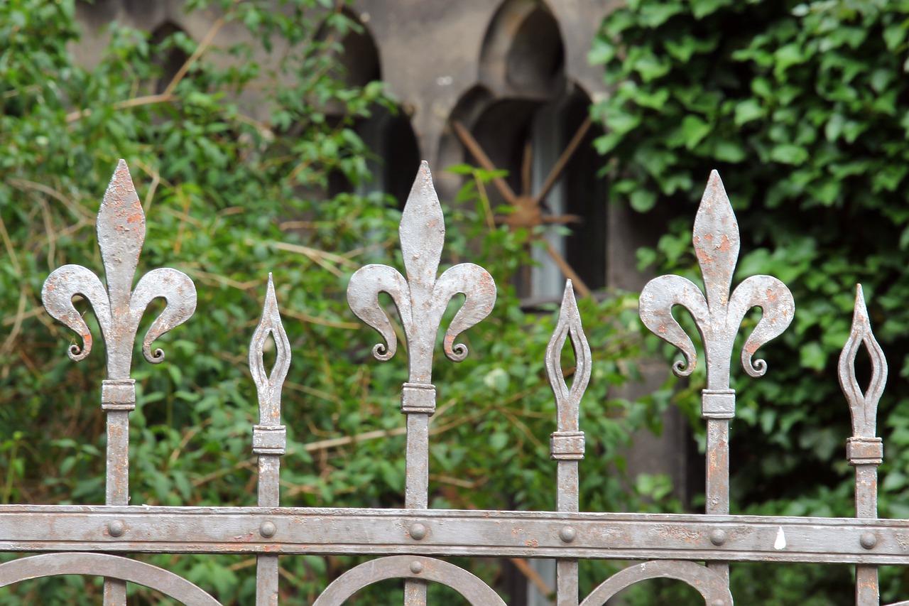 大门前种植什么树好