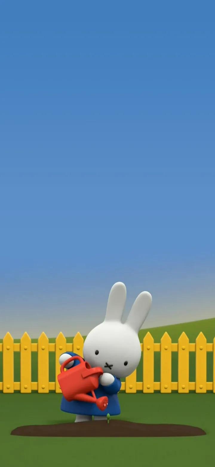 有没有米菲兔的头像(单人;情头都可),壁纸? - 知乎