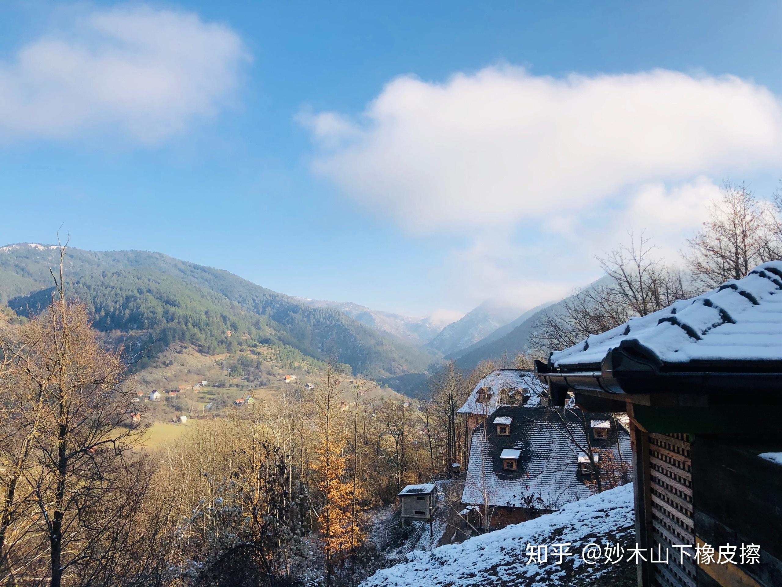 2019年你拍得最好的一张照片是什么它又有什么故事呢