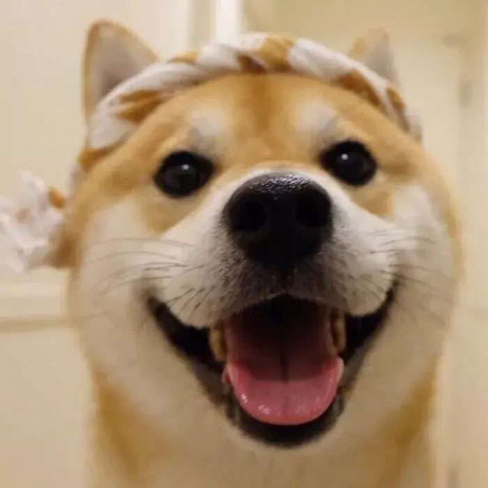 有哪些好看的情侣头像?-有哪些好看的情侣头像动漫