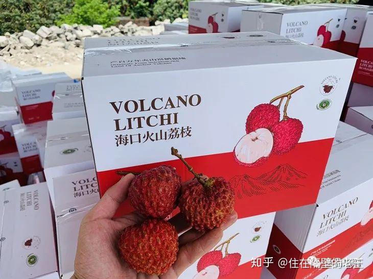 “海南荔枝王” 这就是你要找的超大甜荔枝！ - 知乎