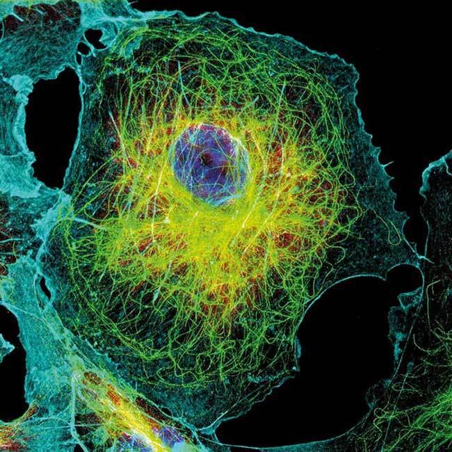 生物光子学介绍——入门大观园 - 知乎