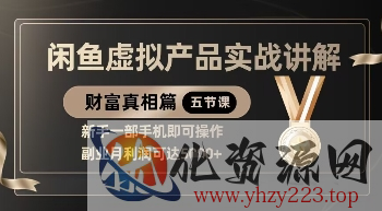 精品！闲鱼虚拟产品实战讲解，新手一部手机即可操作，副业月利润可达5k+