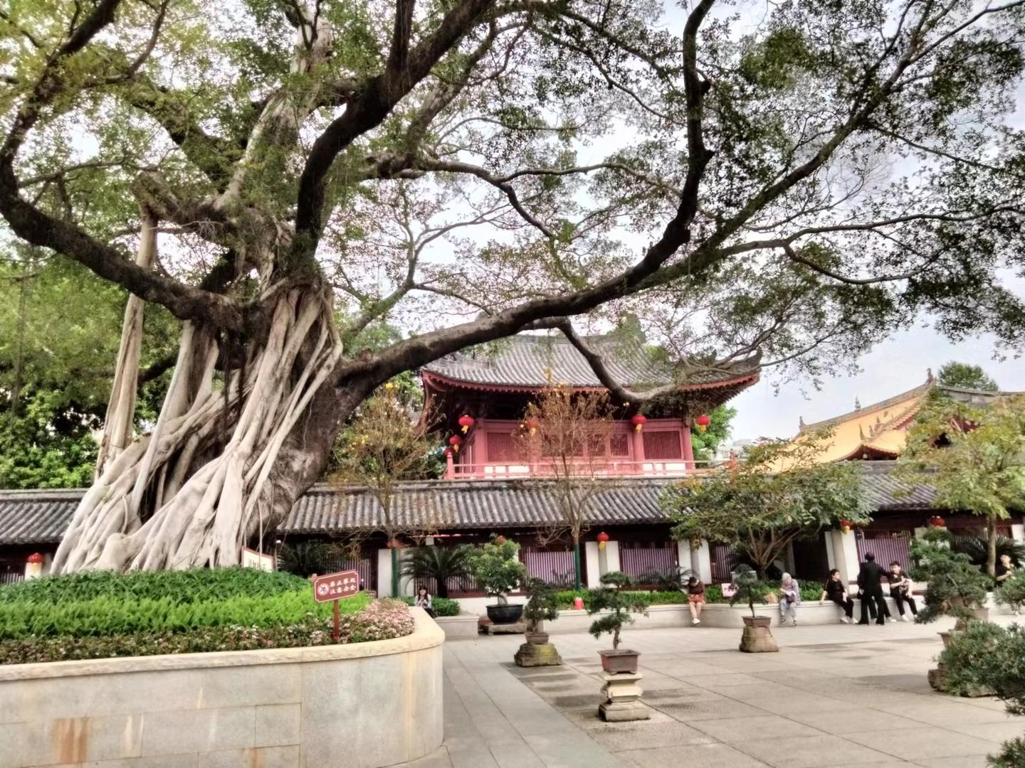 文旅寻宝:广州光孝寺 - 知乎
