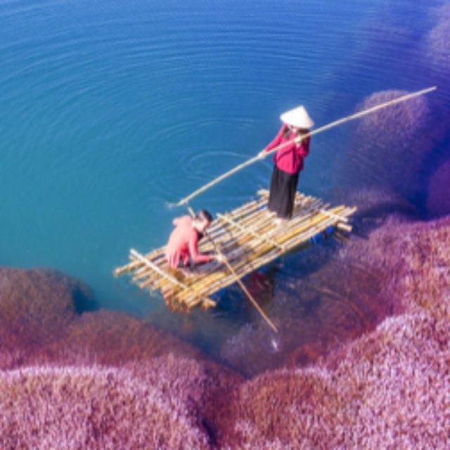 有哪些历史上有名的文物流传至今？(介绍一件历史文物)