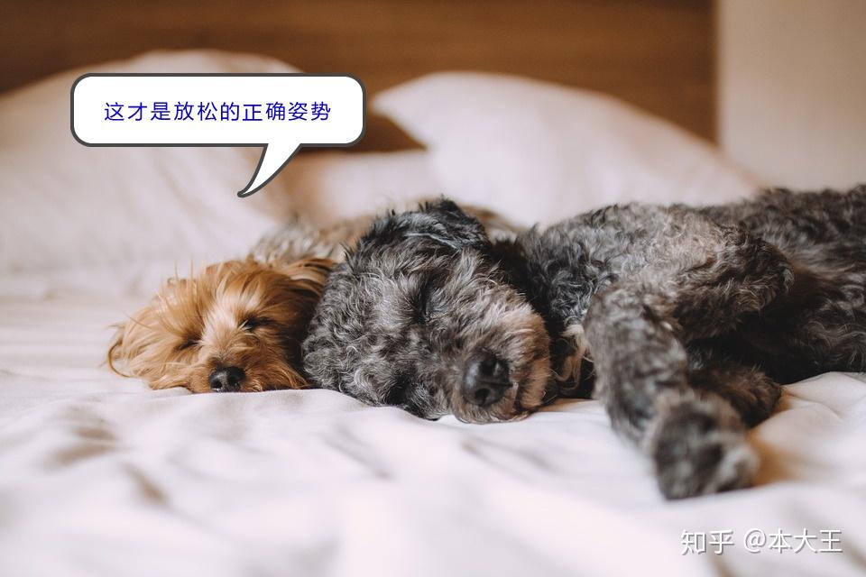 我们需要放松，不能放纵 - 知乎