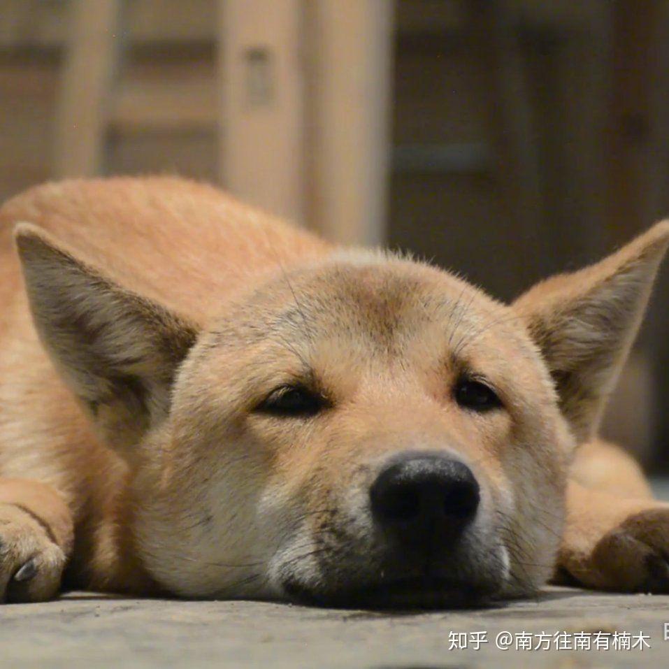 微信头像会影响第一印象吗