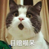 Rounded avatar