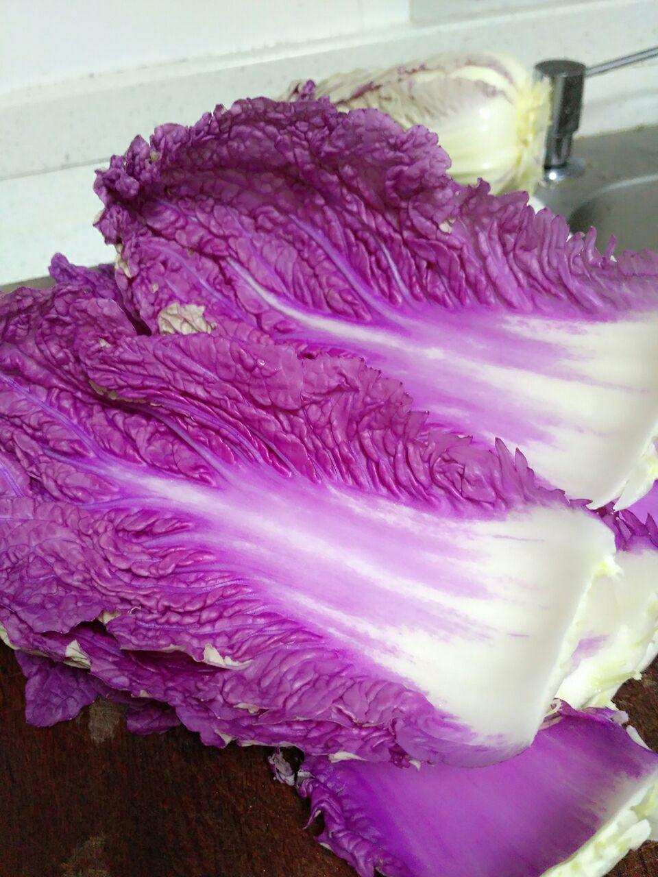 大家有没有知道这种紫色大白菜的?