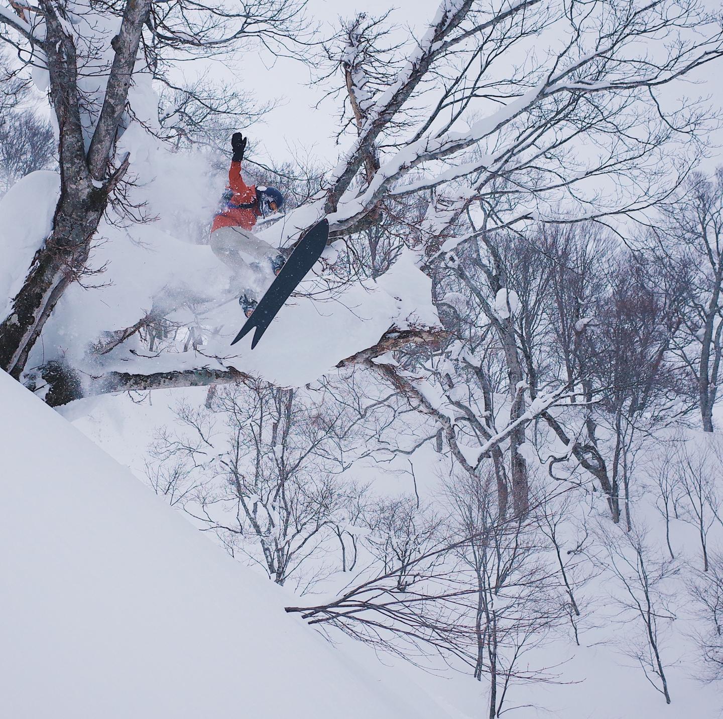 野雪新手的安全课堂 什么是 滑野雪 知乎