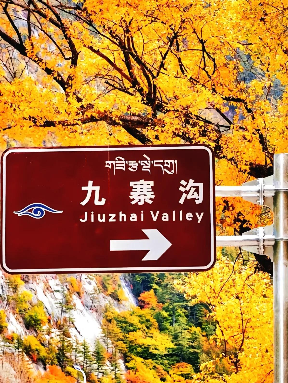 九寨沟游玩避坑攻略，必看！