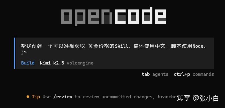 使用OpenCode+方舟CodingPlan体验AgentSkills - 知乎