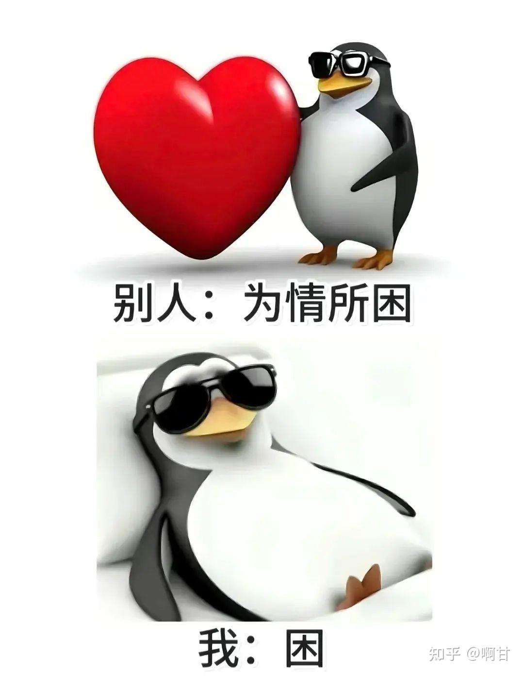 v2-5a6ad59d1c8330497bf3e46724c83818_1440w.jpg (1080×1392)
