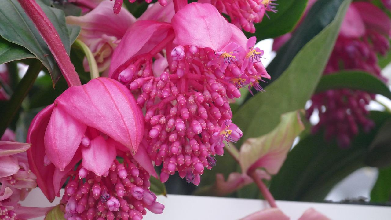 4. 珠宝选购要点