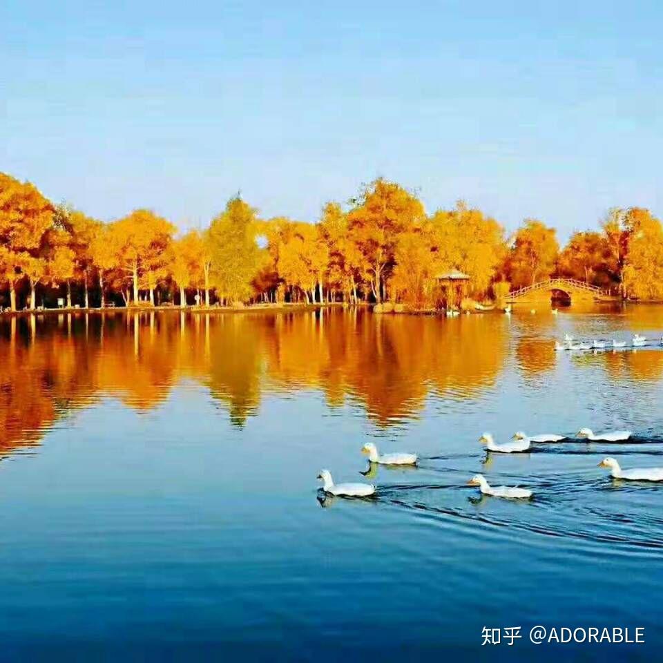 叶子寓意好的微信名_叶子微信昵称_叶子飘飘微信名