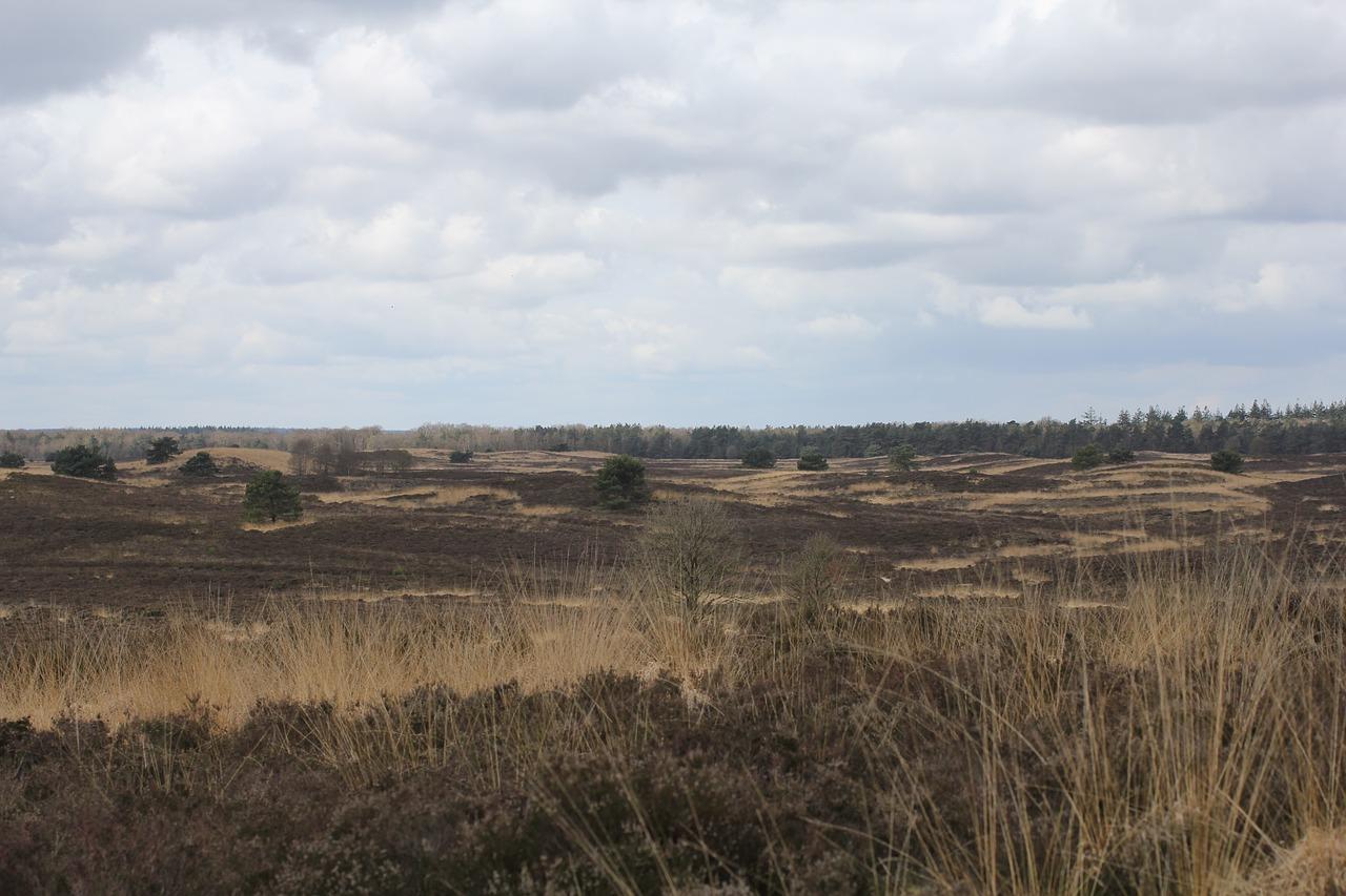 维他美仕破壁机怎么用