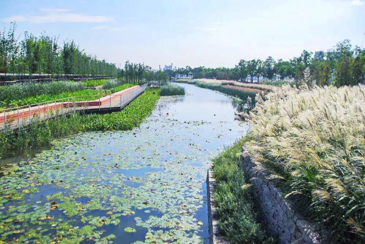 上海世博后滩湿地公园规划设计案例解析 - 知乎