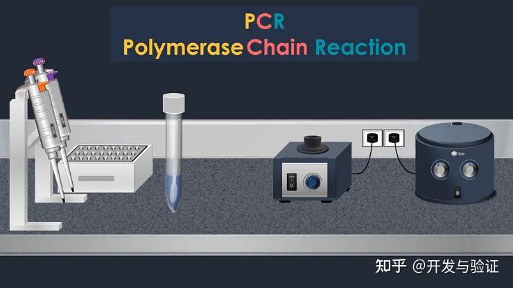科普 | 实时PCR检测如何检出新冠病毒? - 知乎