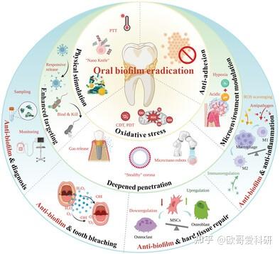 科研绘图综述图版式参考1-99张 - 知乎