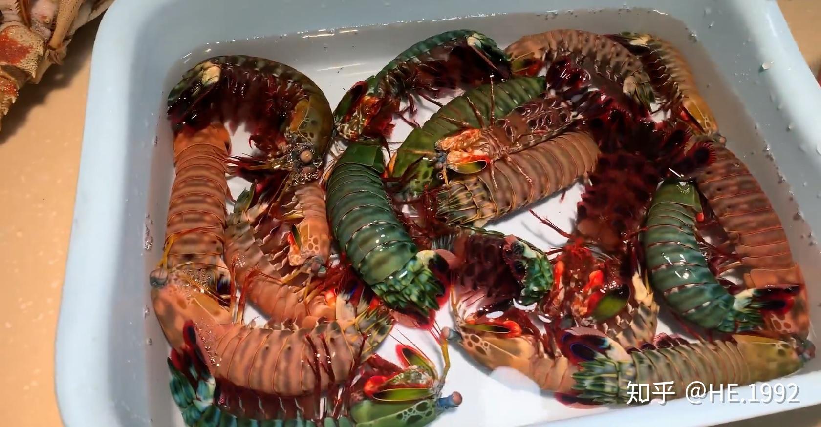 雀尾螳螂虾好吃吗? - 知乎