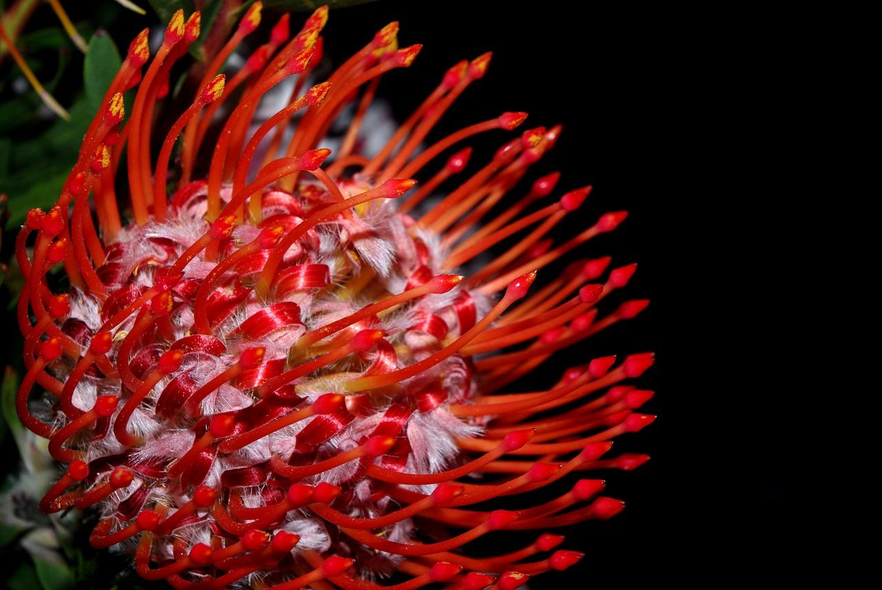 4. 繁华配套一览