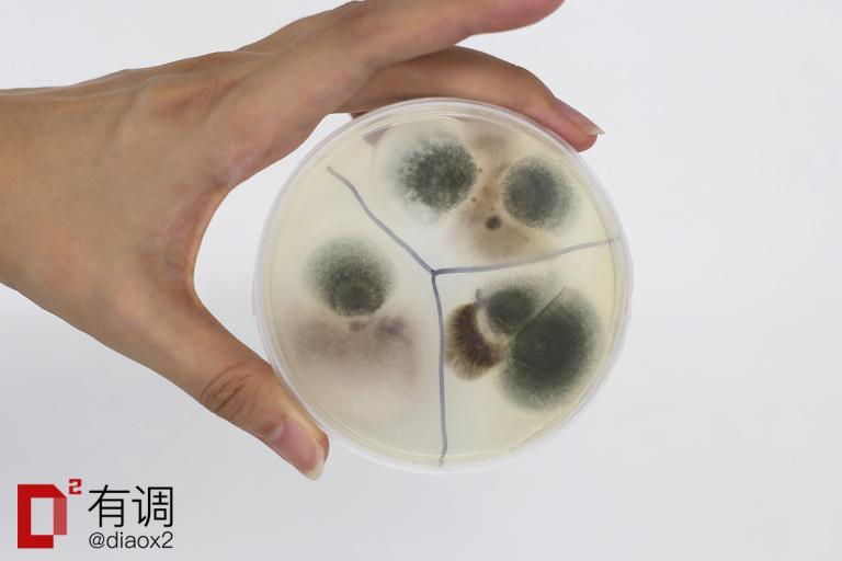 干货分享（买东西的成语怎么说）买东西怎么形容，(图61)