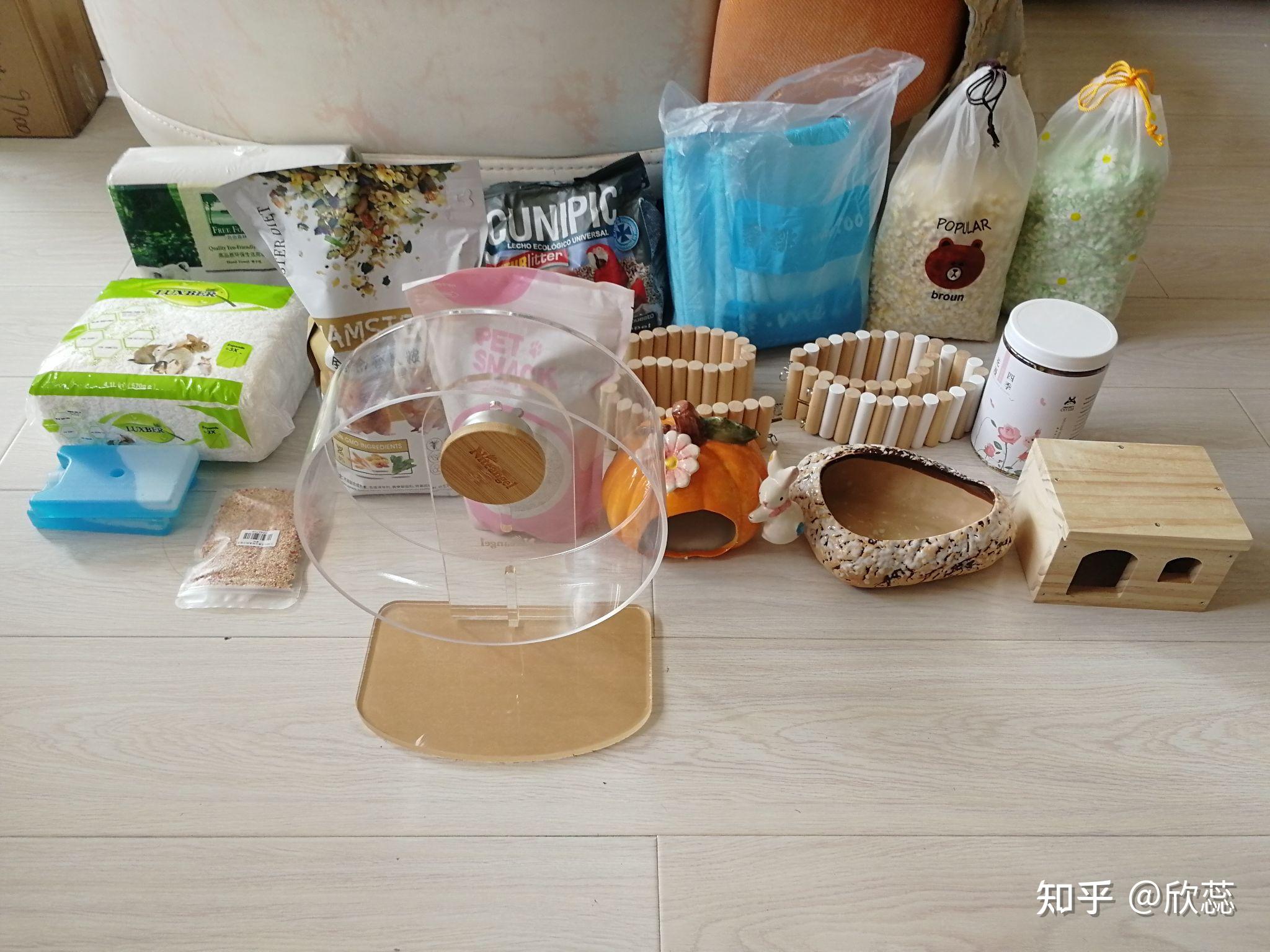 饲养仓鼠前需要准备哪些物品呢