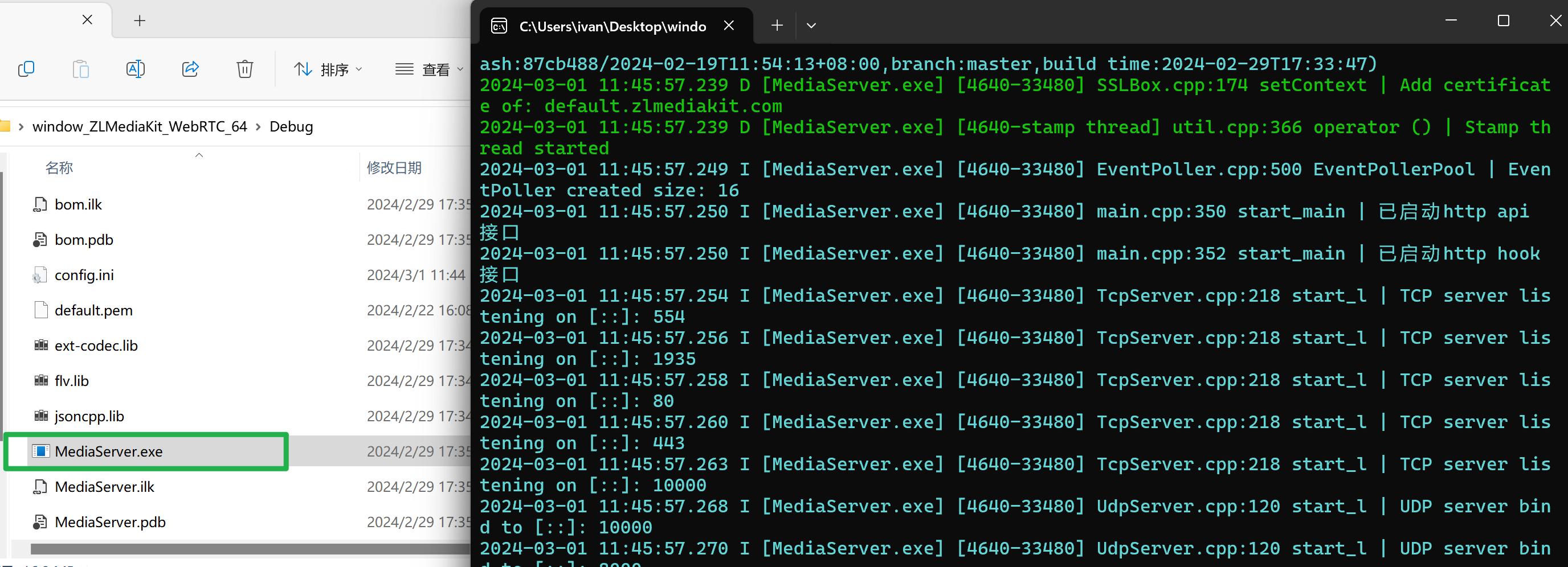Windows zlmediakit webrtc 