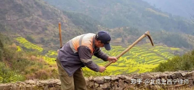 荒地归属之谜:农民开垦的土地,谁才是真正的主人? - 知乎