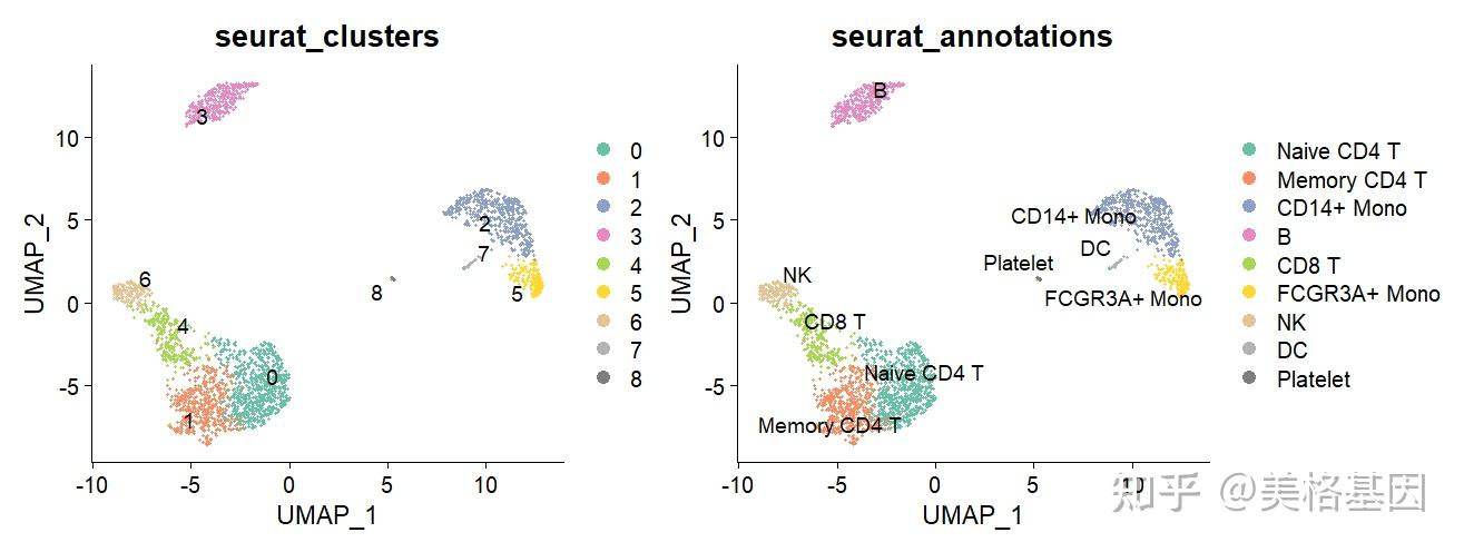 单细胞转录组 UMAP 图绘制与美化：一步解锁高颜值可视化 - 知乎