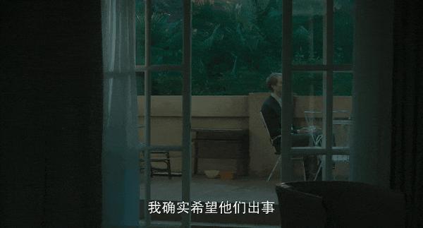 《我的企鹅老师》宠物当“老师”很离谱?不,巨好看!
