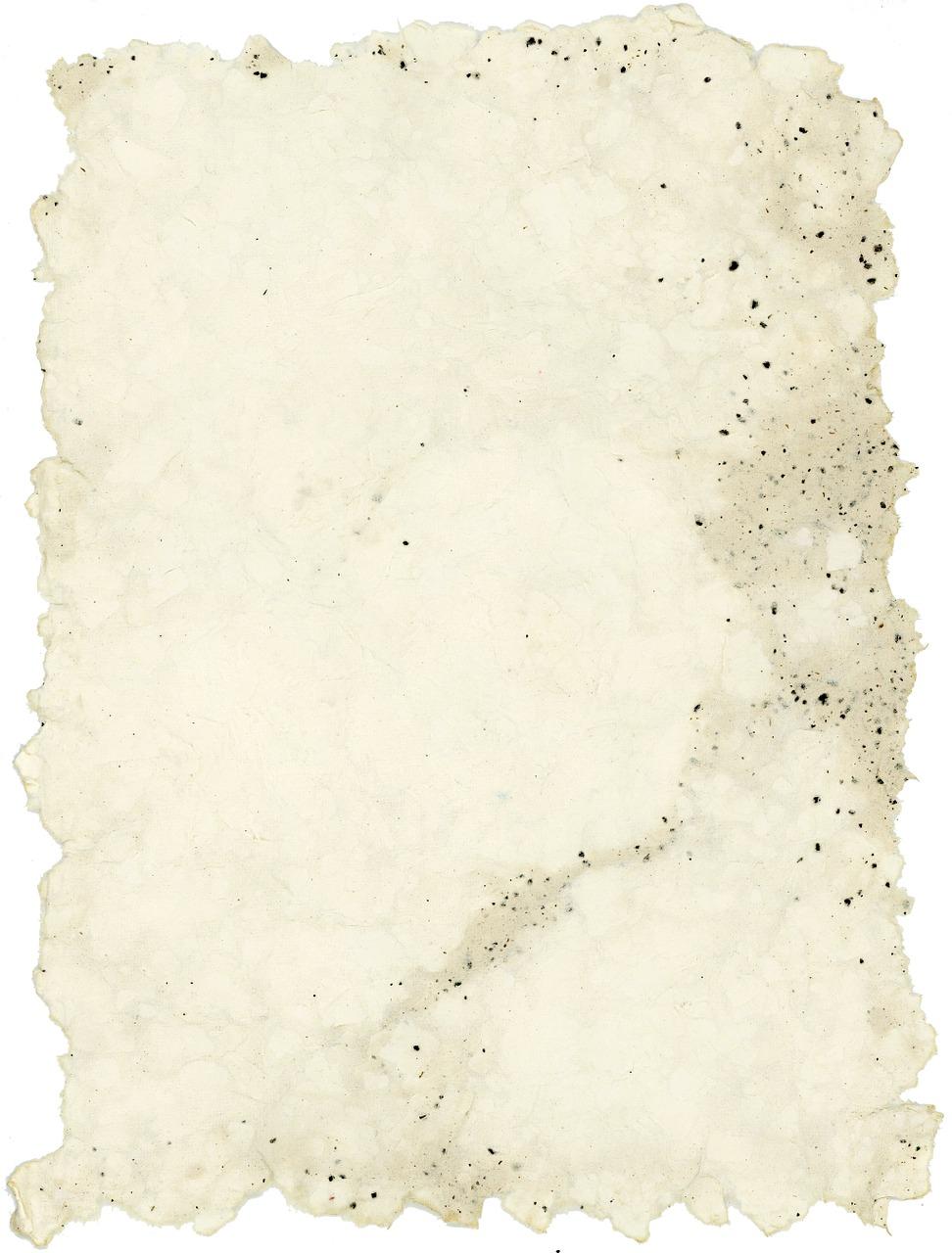 2. 纸质花朵教程