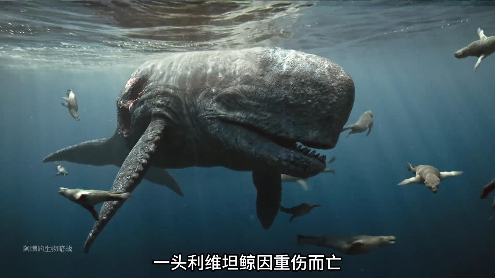 当利维坦鲸遇上巨齿鲨会擦出怎样的火花
