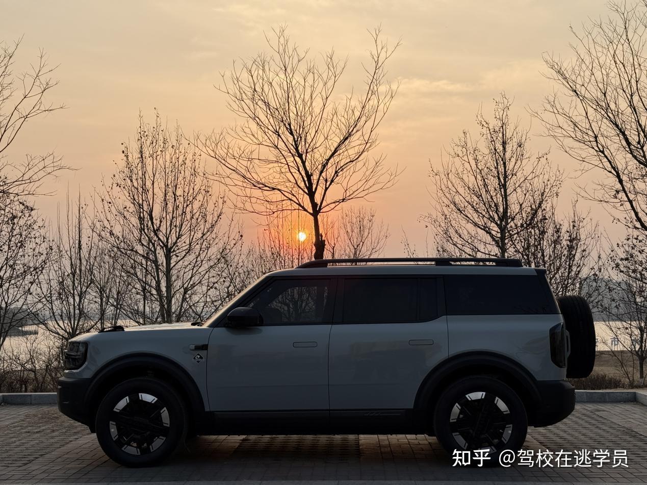 智趣烈马长滩纯电版提车满月
