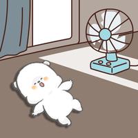 Zhihu profile picture for @gdhsjsj