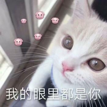 女生撒娇专用表情包,速速收藏! - 知乎