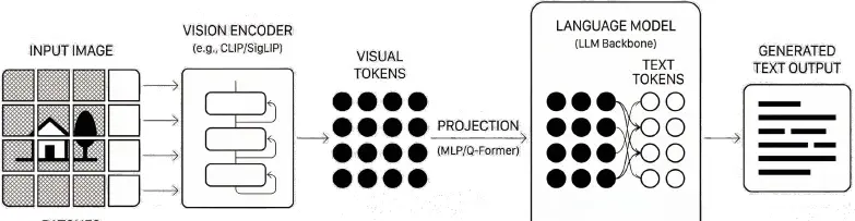 VLM 中的 Vision encoder 回顾 - 知乎