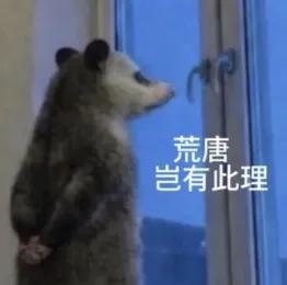 真听劝!TCL X3B显示器,把用户吐槽多年的OLED痛点全修明白了
