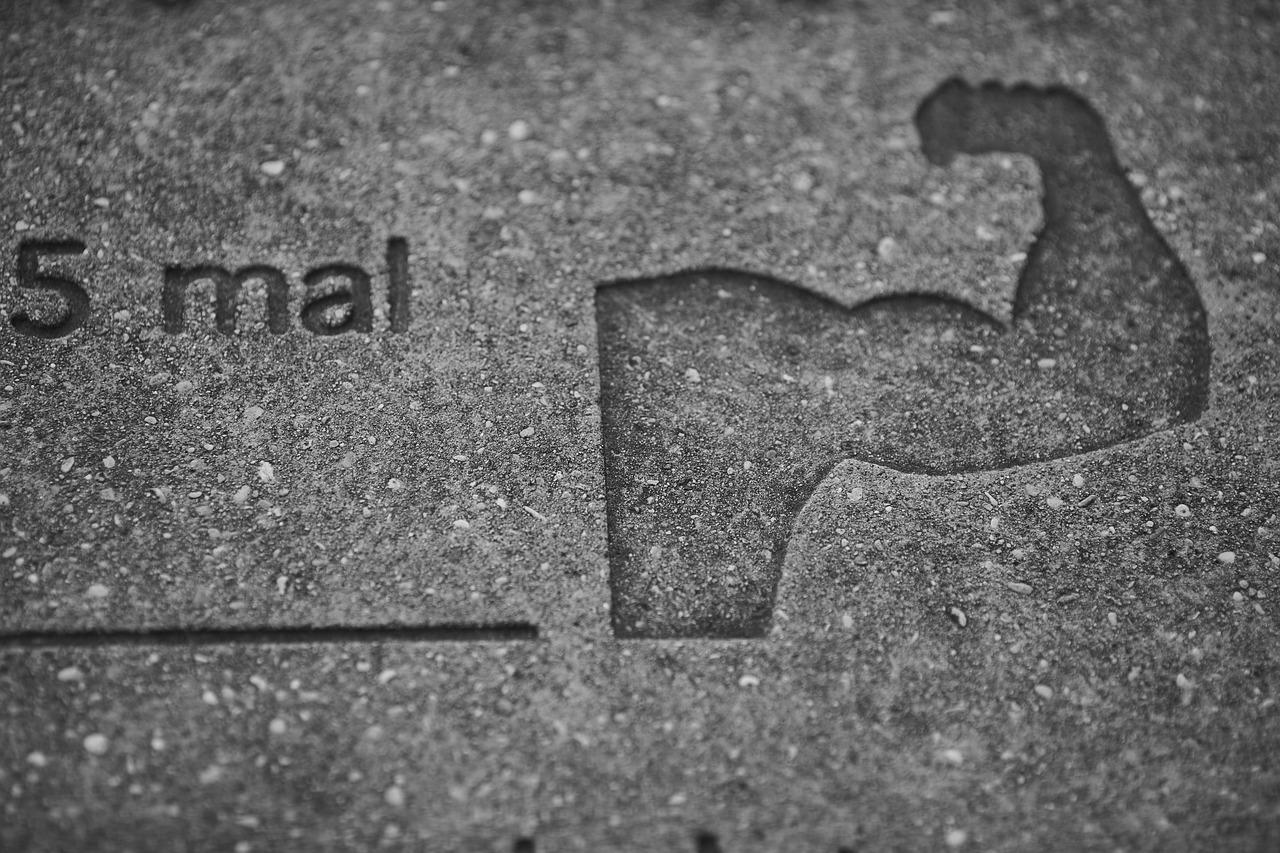 2. 进阶阶段计划