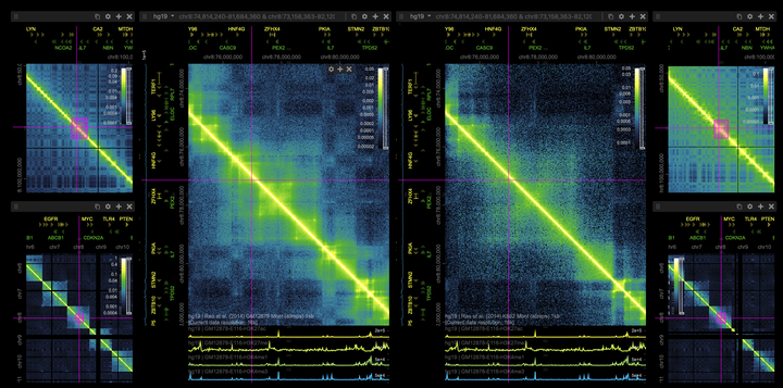 Hi-C数据的可视化工具汇总 - 知乎