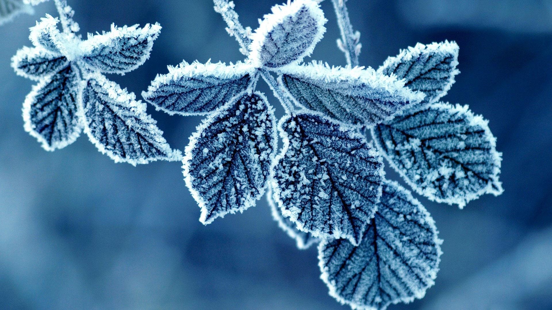 Python代码注释规范代码实例解析 - 知乎