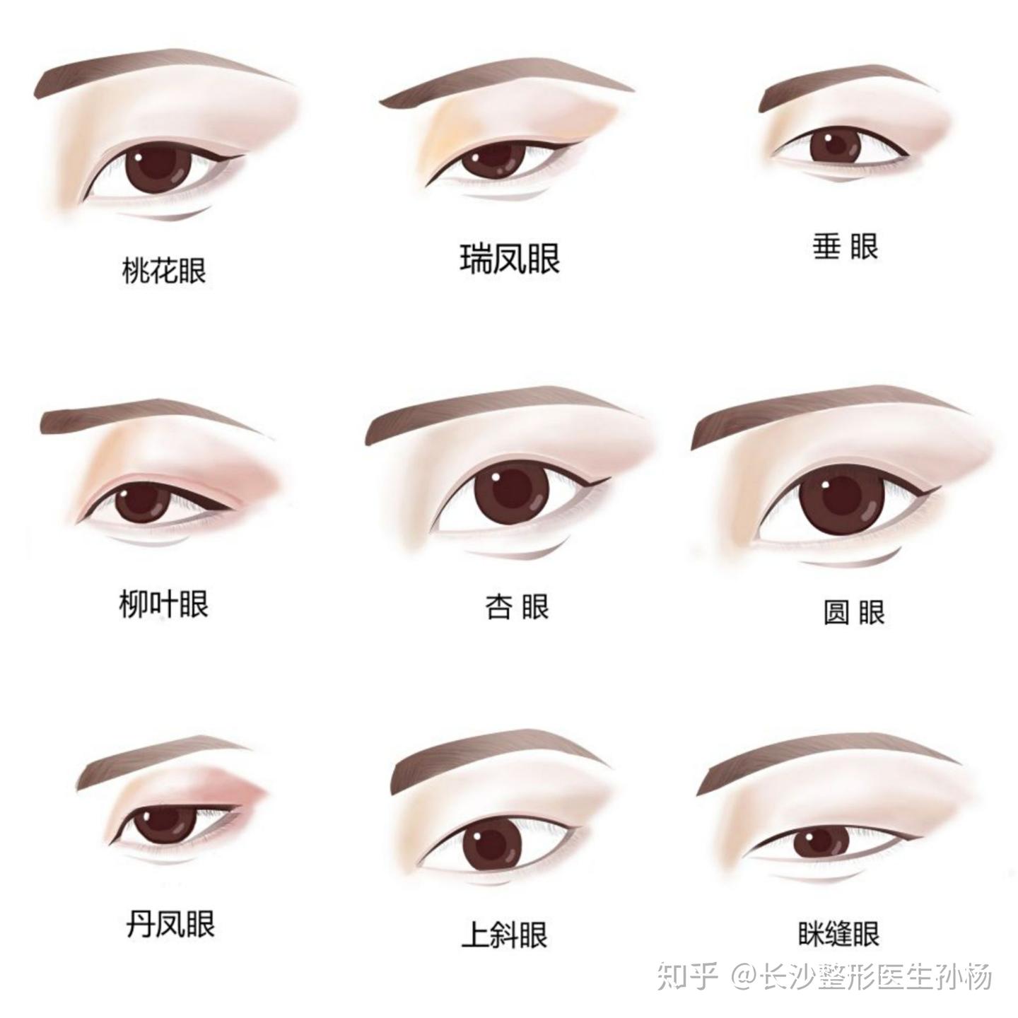 眼睛的类型部分分析 | 长沙湘雅附二孙杨科普 - 知乎