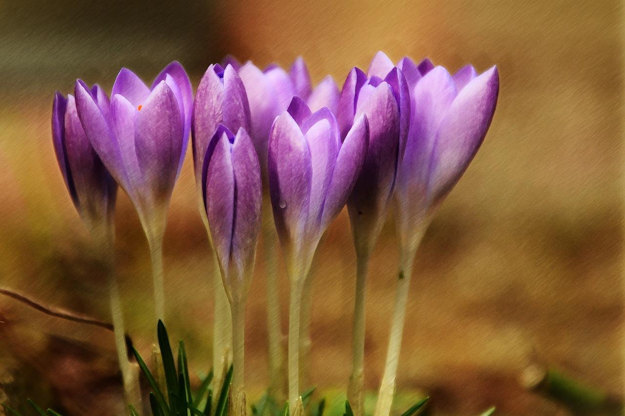 粉彩瓷器值多少钱